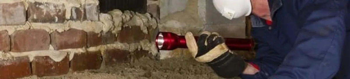 Pest control technician inspecting a crawl space for ant activity and entry points in Mobile, AL