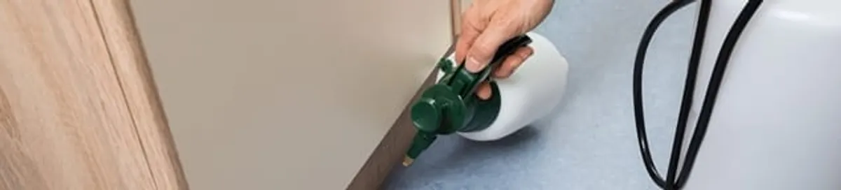 Bed bug exterminator treating baseboards and cracks with targeted spray in Mobile, AL