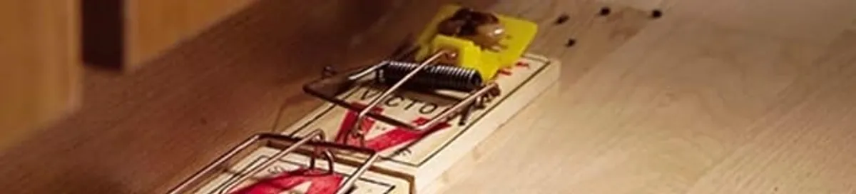 Rodent trap set indoors for rodent control and prevention in Mobile, AL